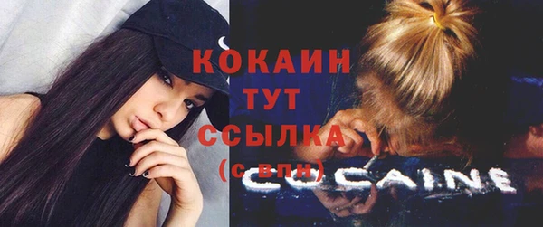 сатива Нязепетровск