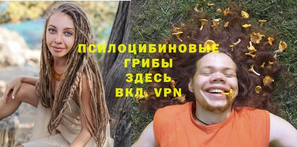 твердый Гусев