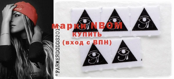 гашик Осинники