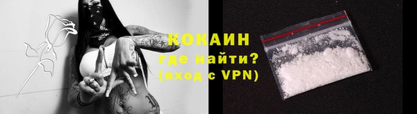 твердый Гусев