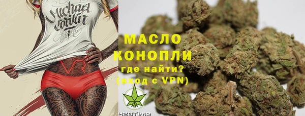 твердый Гусев