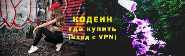 гашик Осинники
