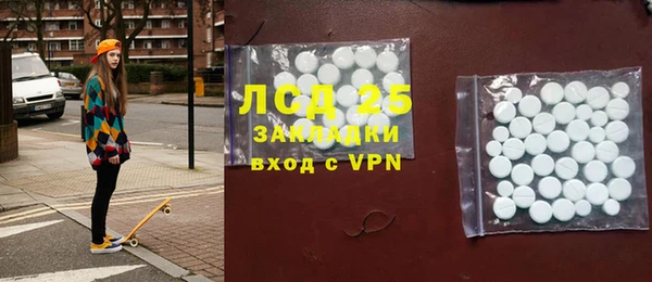 твердый Гусев