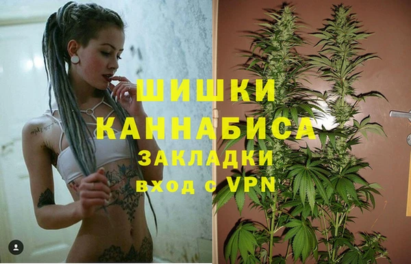 сатива Нязепетровск