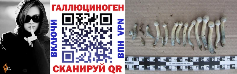 Галлюциногенные грибы Psilocybe  Очёр 